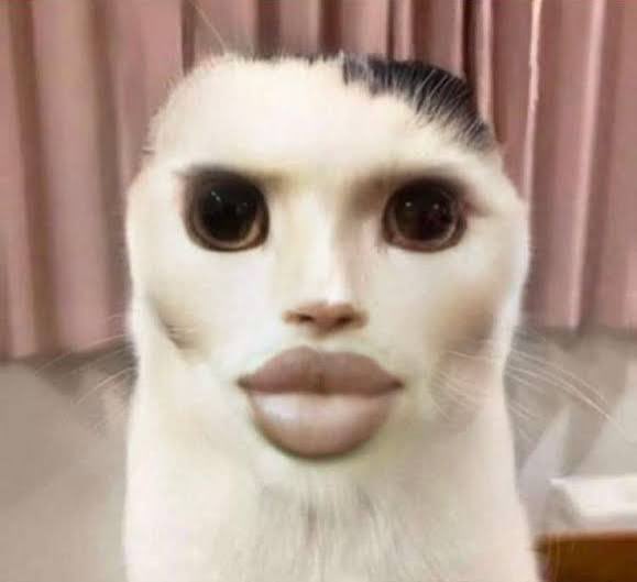 露瓶損さんのポストに添えられた画像