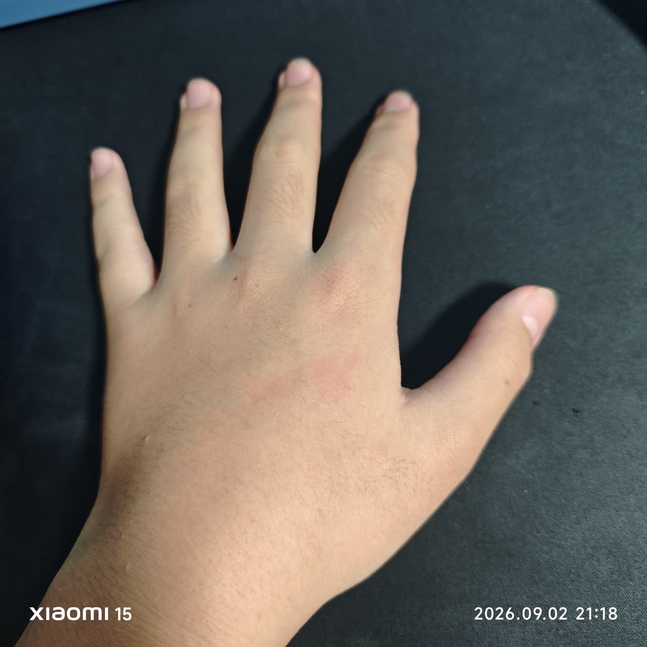 納豆さんのポストに添えられた画像