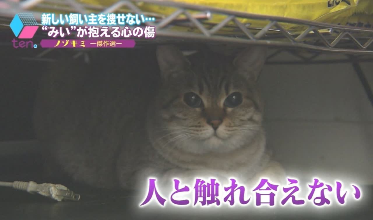 vaginaさんのポストに添えられた画像