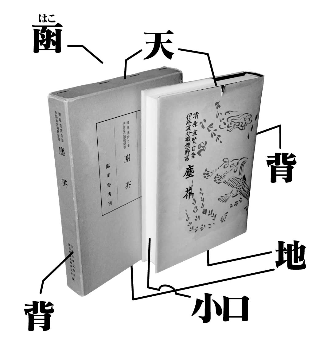 亀井　碧さんのポストに添えられた画像