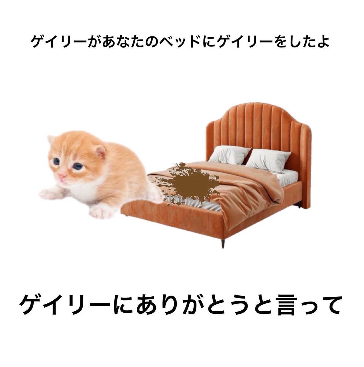 yuhaneki8さんのポストに添えられた画像