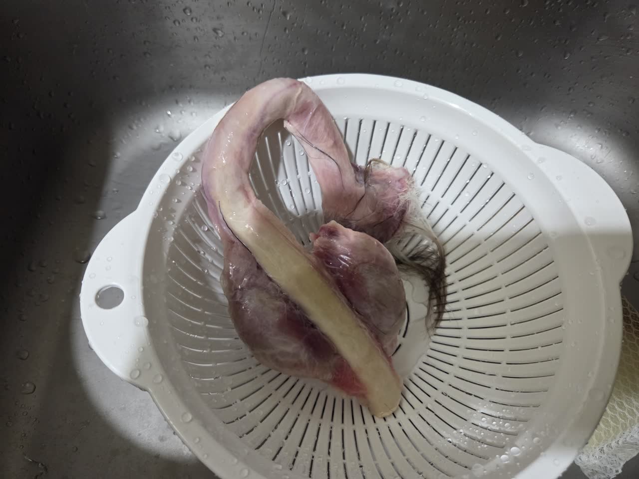 えいは六枚刃さんのポストに添えられた画像