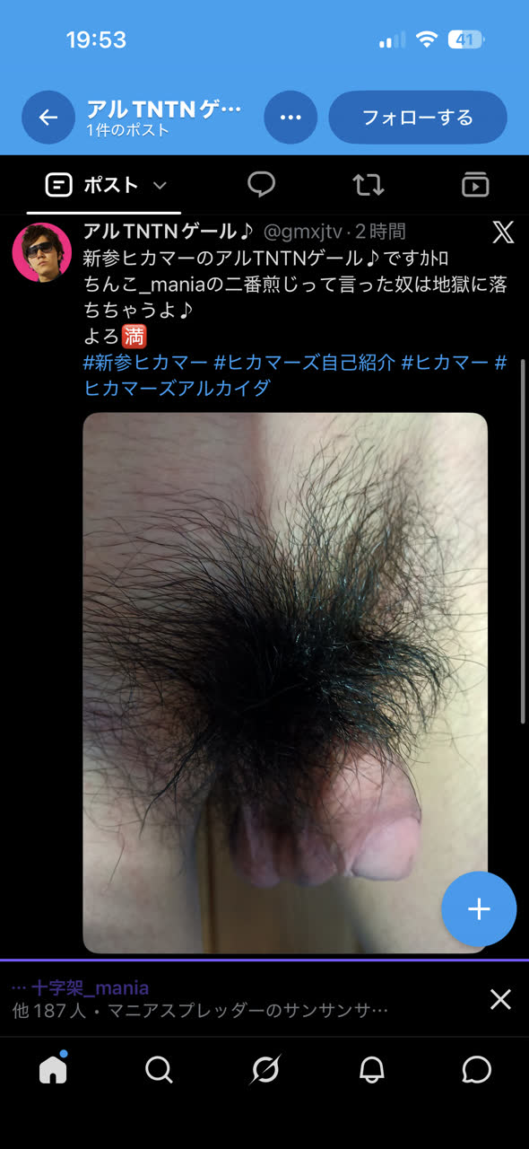 ななしまにさんのポストに添えられた画像