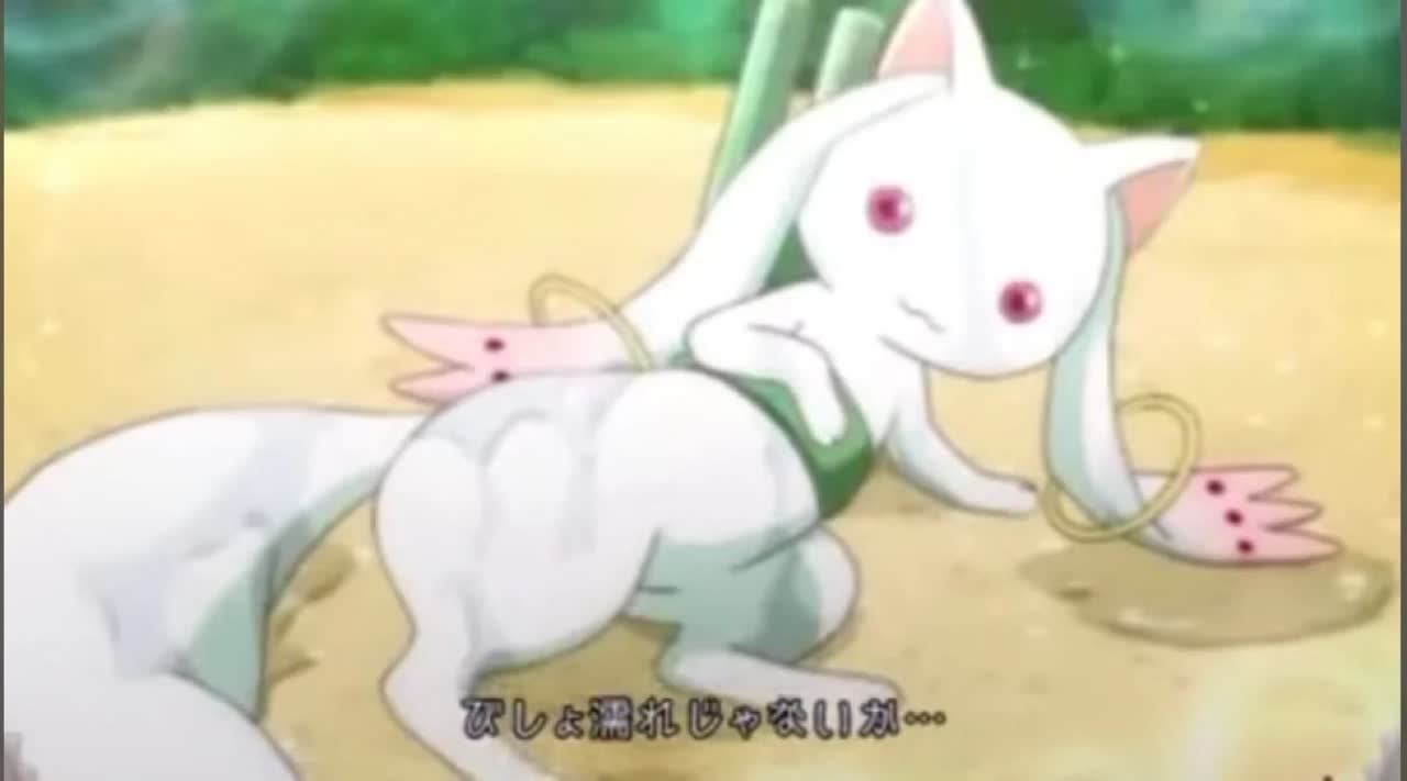 石さんのポストに添えられた画像