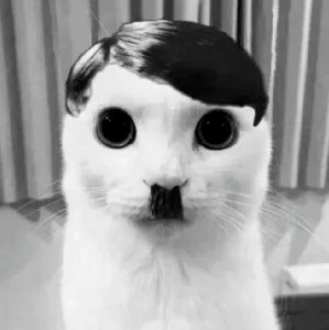 露瓶損さんのポストに添えられた画像