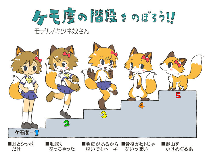 きなこさんのポストに添えられた画像