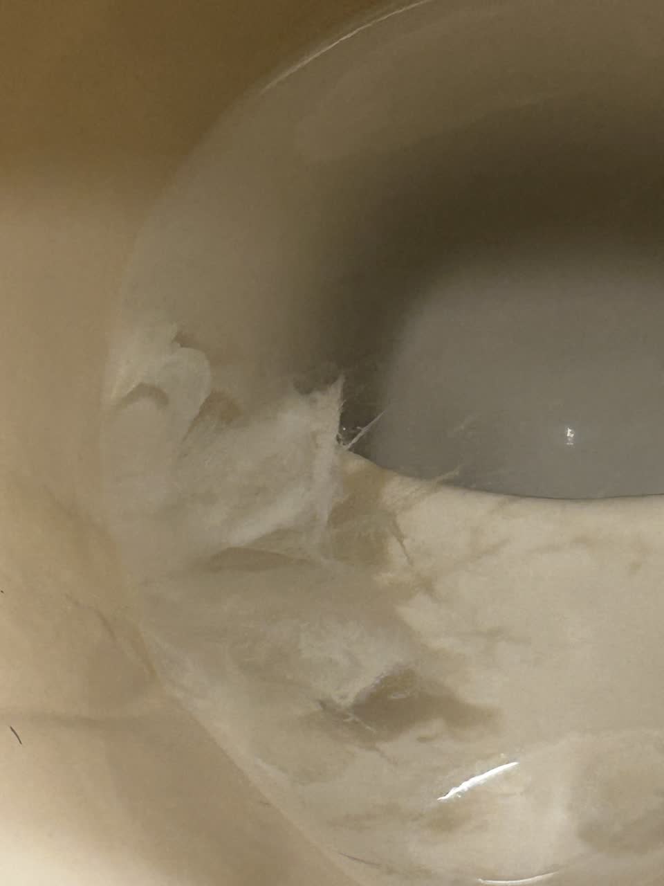 群馬ニアさんのポストに添えられた画像