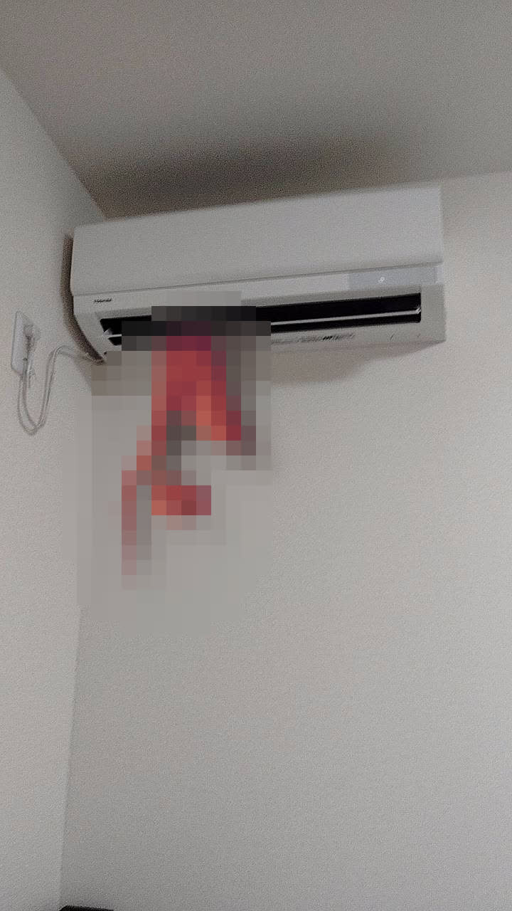 あなたを見つけました。さんのポストに添えられた画像
