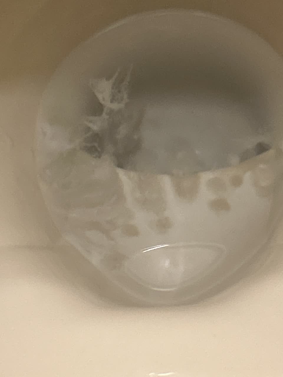 群馬ニアさんのポストに添えられた画像