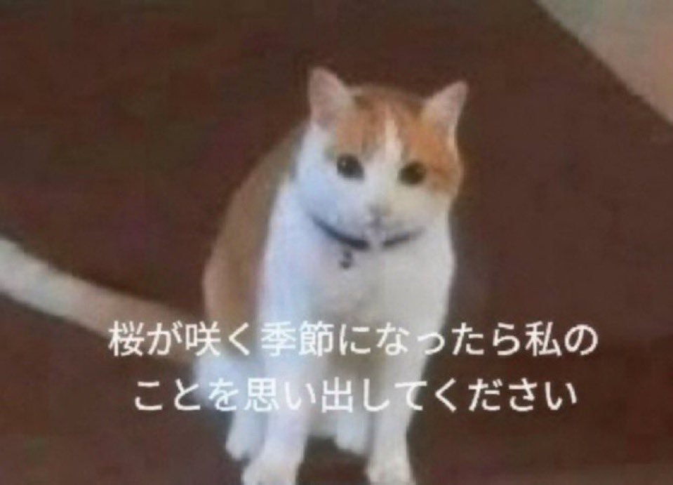 力さんのポストに添えられた画像